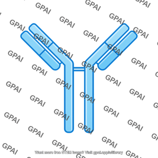 Antibody ab1