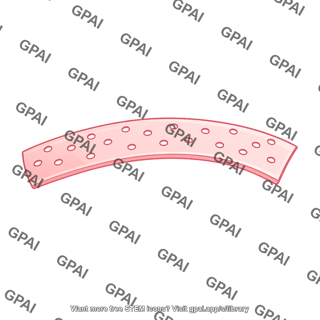 Fenestrated capillary membrane
