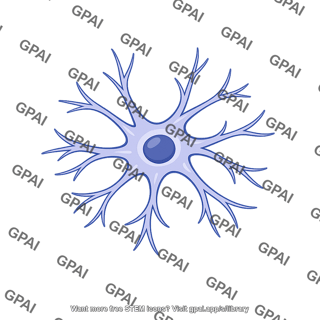 Astrocyte