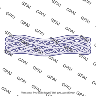 Fibrous basement membrane