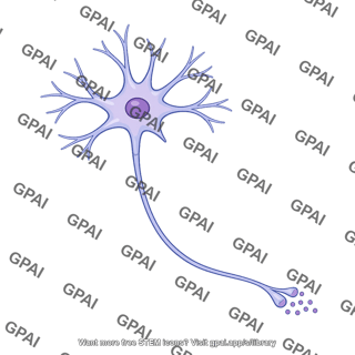 Neuron