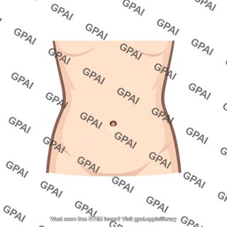 Abdomen