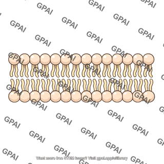 Cellular membrane