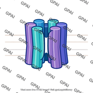 Membrane transporter