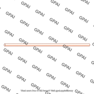 Unmyelinated nerve fiber