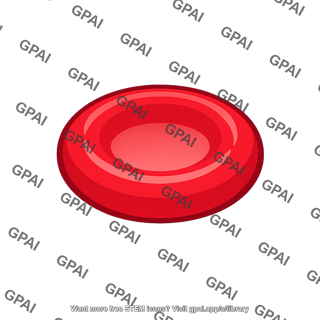 Red blood cell