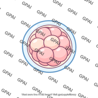 Ovum dividing