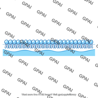 Surfactant