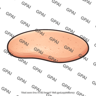 Skin surface patch