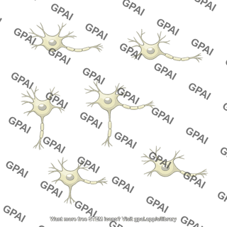 Neurons