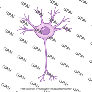 Neuron cell