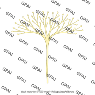 Sensory nerve terminal