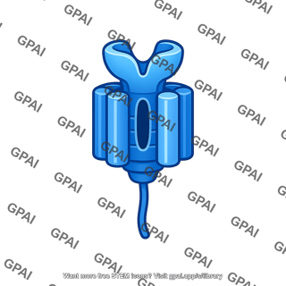 Postsynaptic membrane receptor