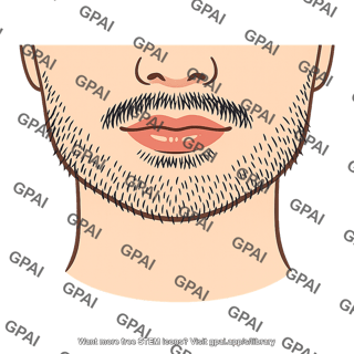 Male facial hair