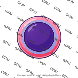 Erythroblast
