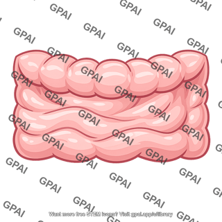 Mucosal surface large intestine