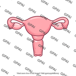 Female reproductive system