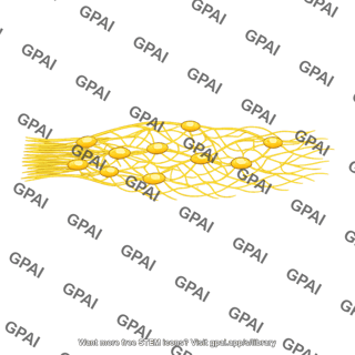 Myenteric plexus polarized