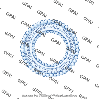 Small vesicle stage 5