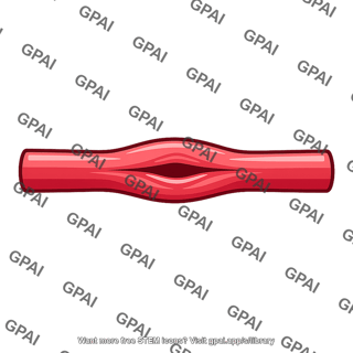 Intramuscular blood vessel compressed