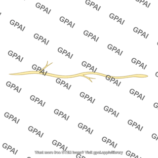 Type c pain fiber