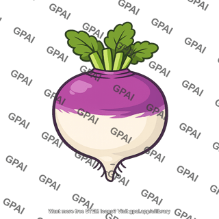 Turnip