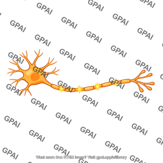 Firing neuron