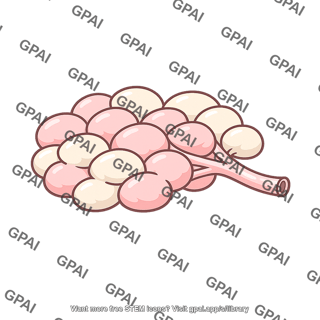 Submucosal gland