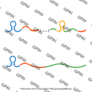 Rna molecule processing