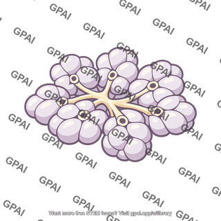 Serous gland