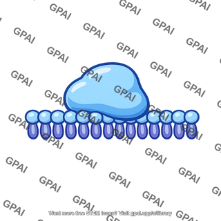 Peripheral protein