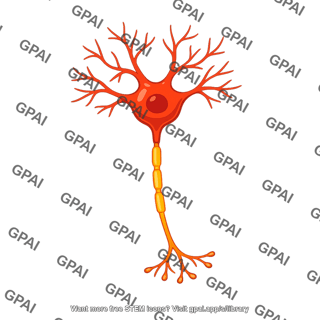 Pomc neuron red orange