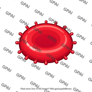 Fetal red blood cell rh positive