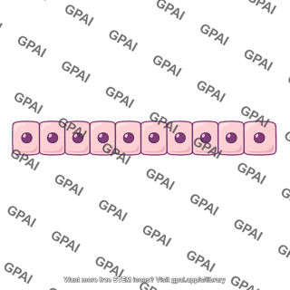 Cuboidal epithelium