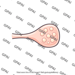 Synaptic bouton