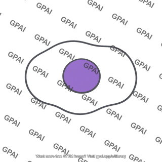 Animal cell
