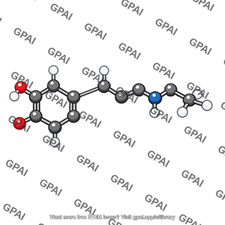 Norepinephrine