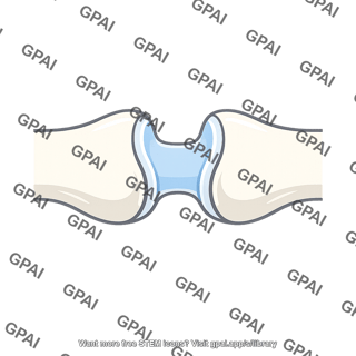 Hinge like synovial joint
