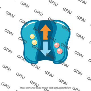 Active ion pump