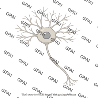 Dentate nucleus neuron