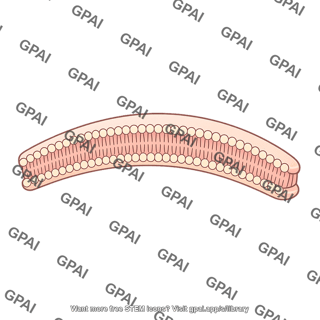 Fiber membrane