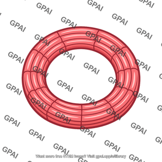 Ciliary muscle circular fiber