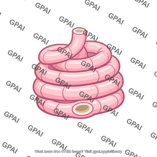 Sweat gland coiled portion