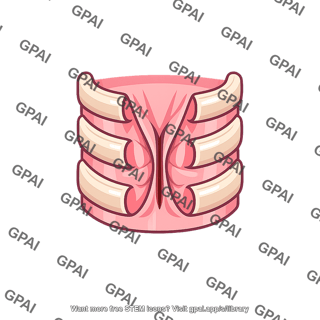 Trachea collapsed