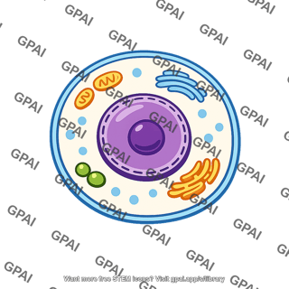 Nucleated cell