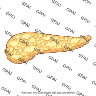 Pancreas lipid accumulation