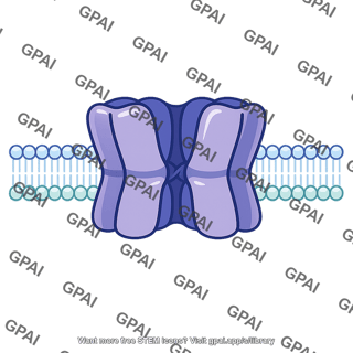 Potassium channel closed
