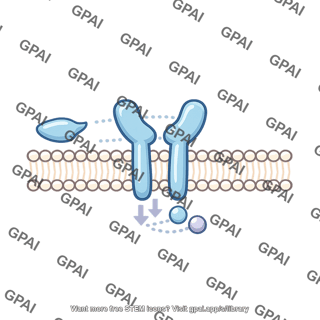Protein channel membrane
