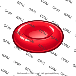 Red blood cell