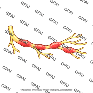Polyneuritis